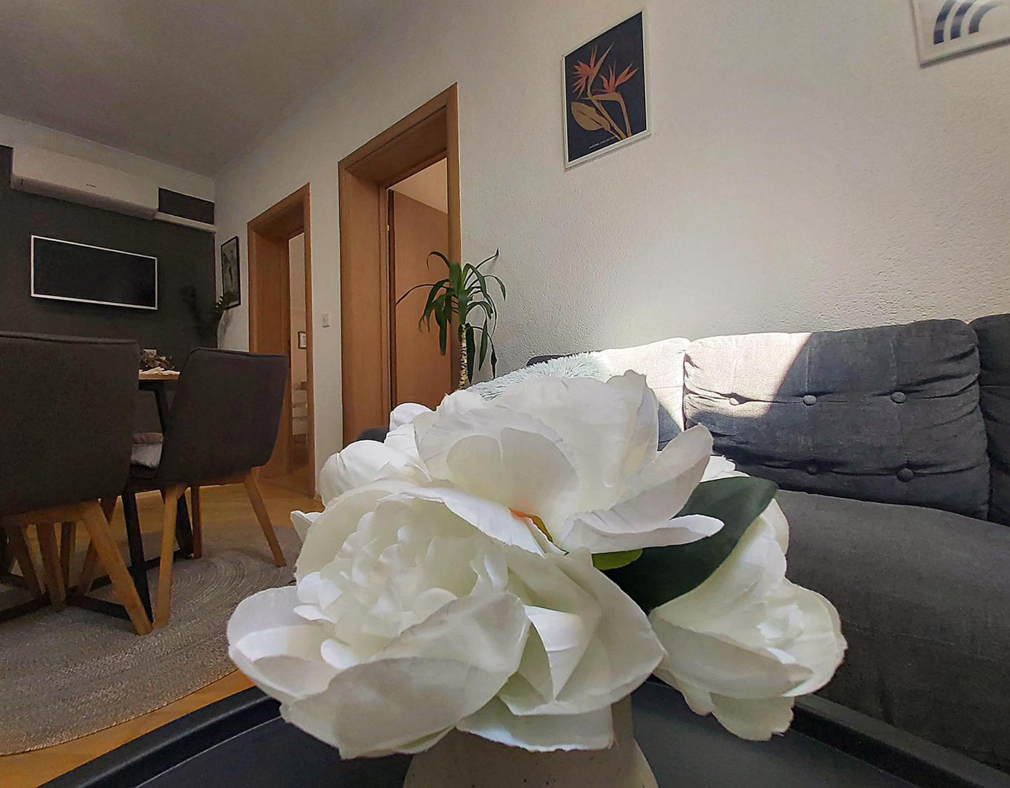מוסטר Zara Apartment With Terrace Near Old Town מראה חיצוני תמונה